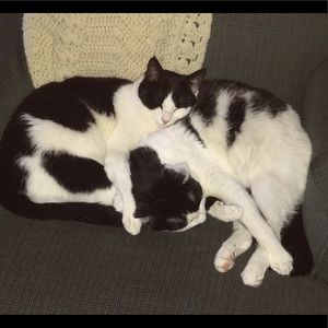 Meet your Posher, Lynne